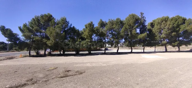 Local comercial en venta - Calasparra - foto 4