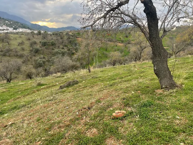 PRECIOSA FINCA RUSTICA CON ESPECTACULARES VISTAS — 21