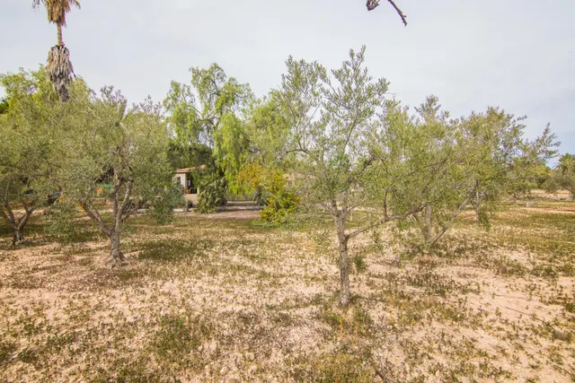 LA BELLEZA OCULTA QUE VA MAS ALLA DE TU CONSCIENCIA - CASA EN PEÑA DE LAS AGUILAS — 36