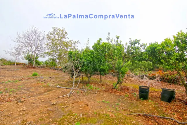 Suelo rústico en Venta en Breña Alta Santa Cruz de Tenerife - foto 3