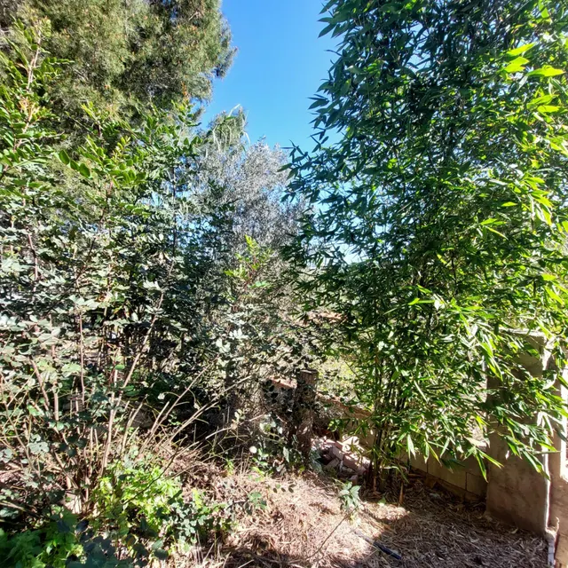 Casa con terreno en El Garruchal — 34