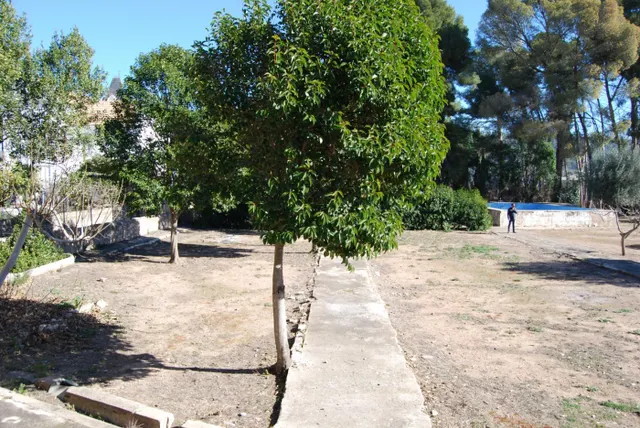 CHALET EN VENTA CON AMPLIA PARCELA EN LA POBLACION DE NAVAJAS — 13