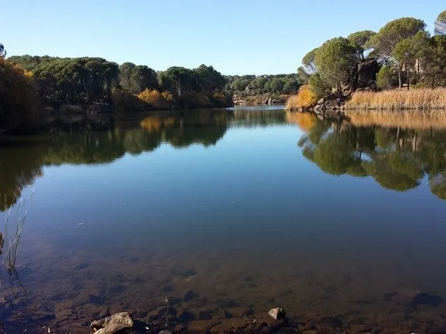 LAS JARAS — 6
