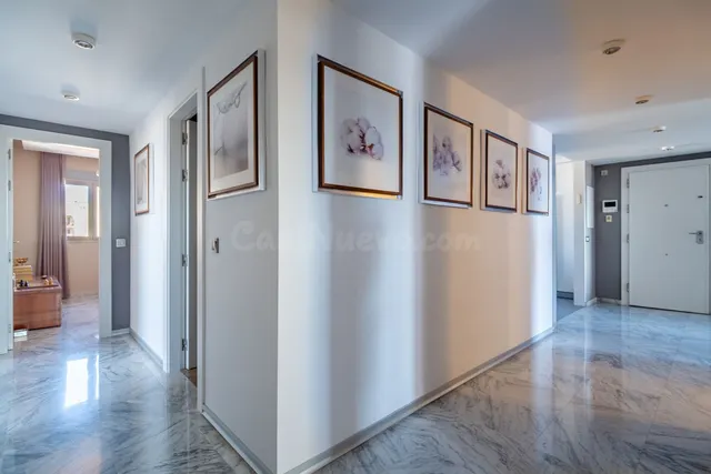 Ático 4 habitaciones 275m² en venta - Cruz de Humilladero- Paseo de los Tilos — 3