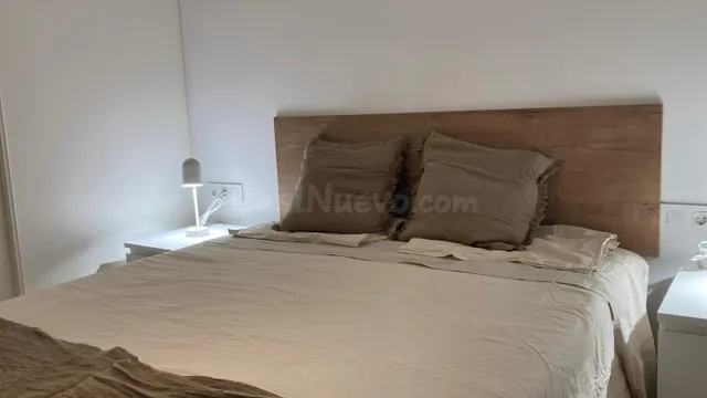 Piso 1 habitación 60m² en alquiler - La Patacona - foto 3
