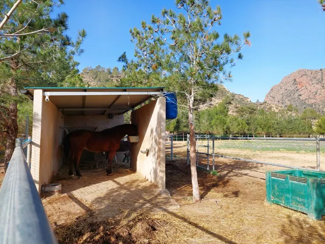 Casa con terreno en zona del Garruchal — 27
