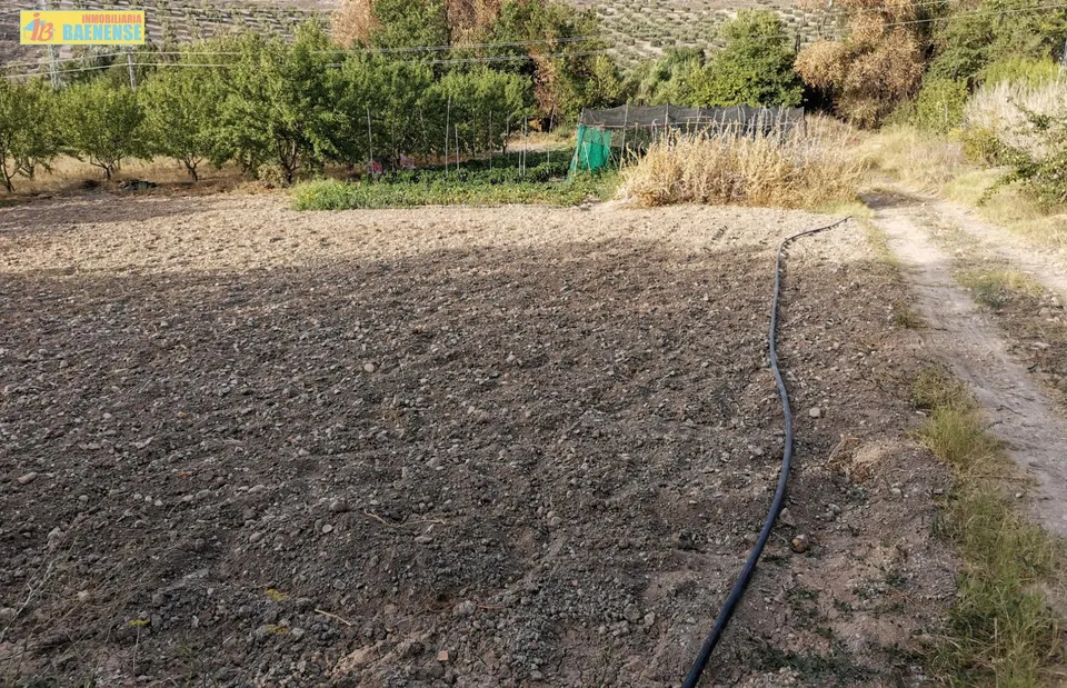 Huerta en venta