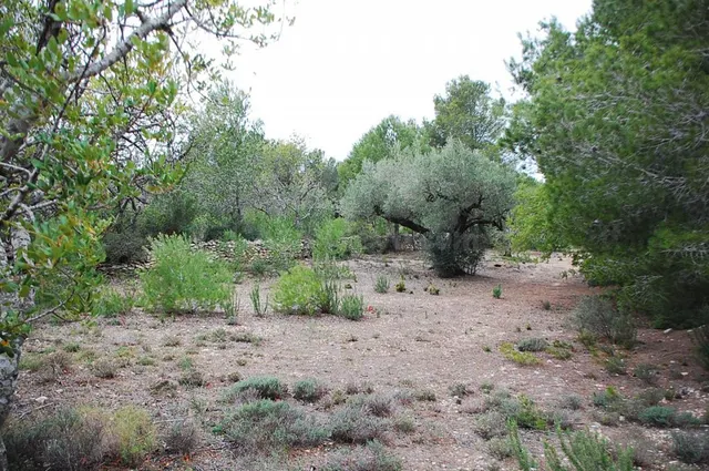 Finca rústica en venta - Afueras del pueblo — 4