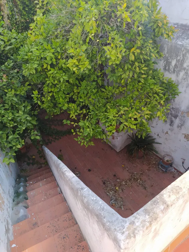 VENTA DE CASA INDEPENDIENTE ZONA SAN FRANCISCO — 20