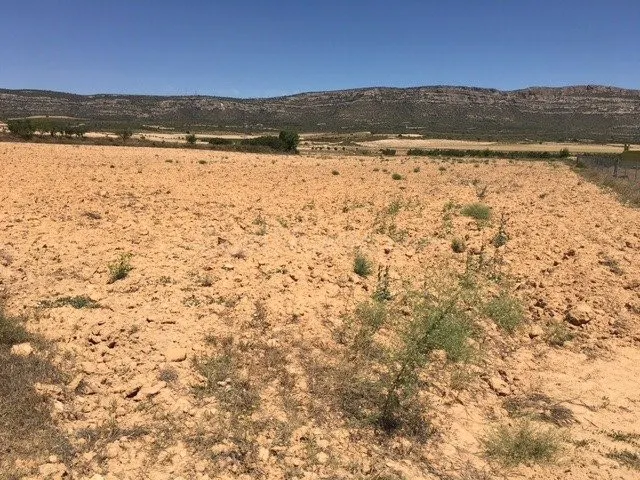 Terreno rural en venta - San anton - foto 5