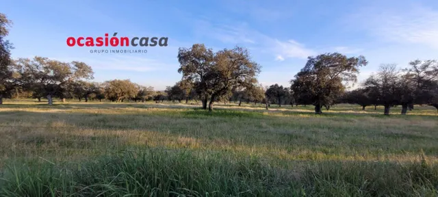 ENCINAR CON NAVE EN VENTA - foto 5