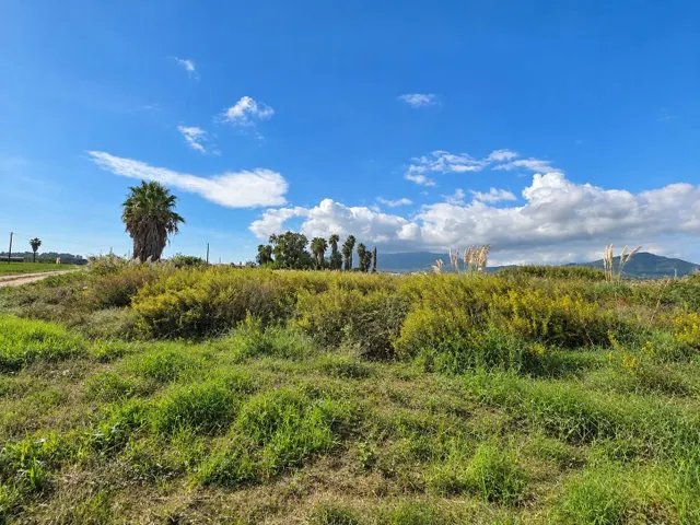 Finca rústica de 6.705 m2 en la zona de els ullals de baltasar, Amposta — 2