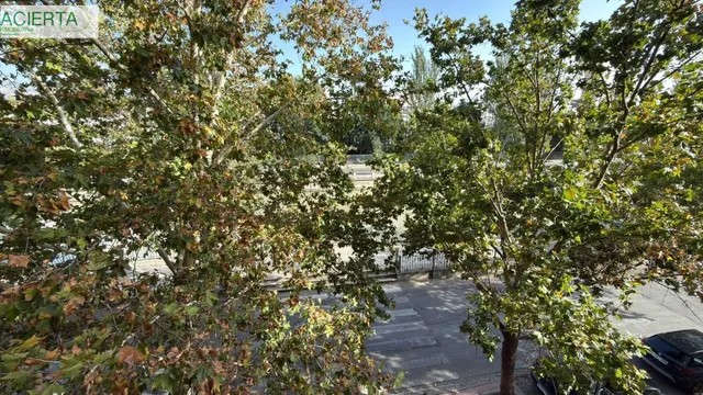 Piso con plaza de garaje cerrada junto a La Inmaculada, frente al río Genil. — 30