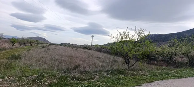 Terreno Rústico en Hondon de las Nieves - Zona BAYON - foto 4