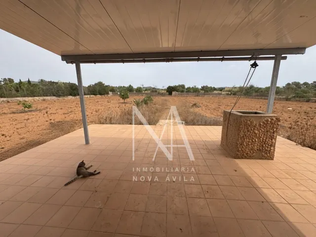 FINCA RUSTICA LLUCMAJOR - foto 4