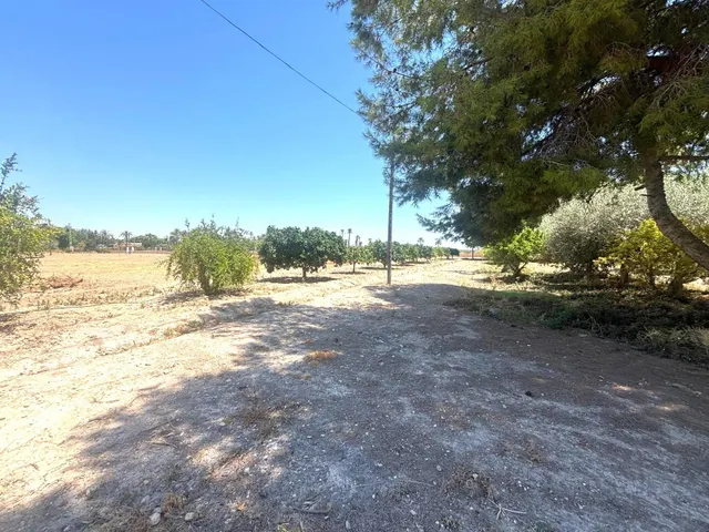 Exclusiva finca con encanto atemporal – una propiedad única cerca de Elche — 45
