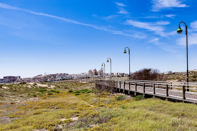 Ático duplex con solárium, vistas al mar y a 280 metros de la playa de La Mata — 44