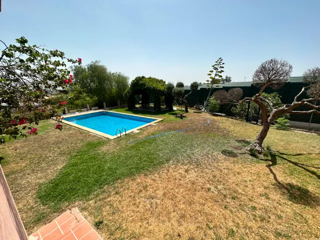 Exclusiva finca rústica con chalet independiente en la carretera Coria del Río - Palomares — 27