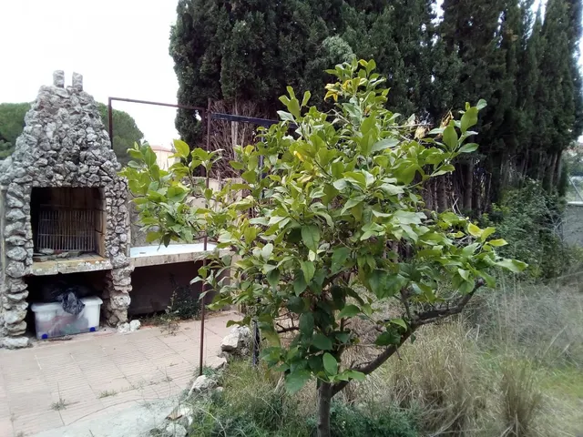 PARCELA  EDIFICABLE EN EL CENTRO DE SEGUR DE CALAFELL - TARRAGONA — 4