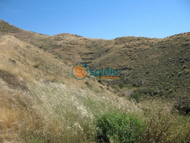 VENTA DE PARCELA DE 3H EN GOÑAR, HUÉRCAL OVERA - foto 2