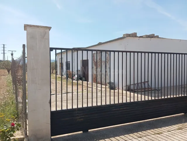 Villa 6 habitaciones 825m² en venta - Ayuntamiento - foto 3