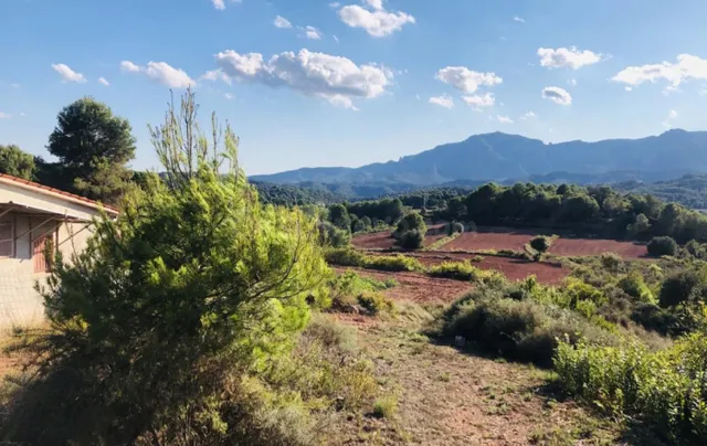 Finca Rústica con Amplias Posibilidades - foto 4