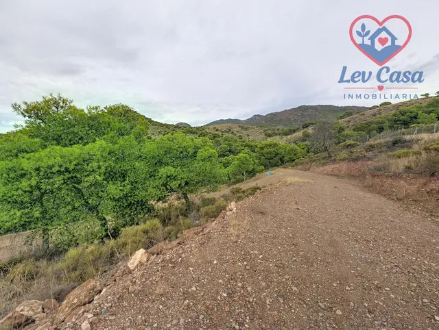 FINCA DE 10.400 M2 CON PISCINA EN SIERRA ESPUÑA — 120.000 € — 11