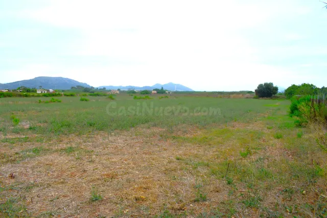 Finca rústica con caseta de herramientas en Muro - foto 3