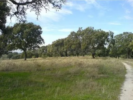 Finca rústica 999999m² en venta - Badajoz - foto 3