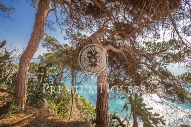 Terreno con magníficas vistas mar-Arenys de Mar — 18