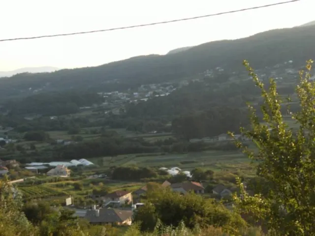 REF 1131 SOLAR EN TOMIÑO DE 1200 M2. — 4