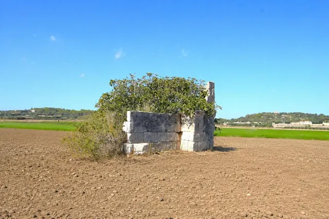 Finca rústica con vistas a la Serra de Tramuntana en Muro - foto 5