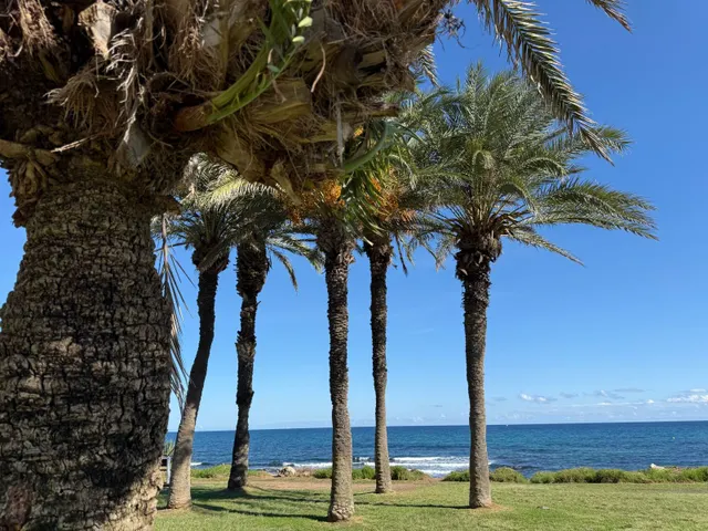 Apartamento 2 habitaciones 50m² en venta - Eliseos playa — 17