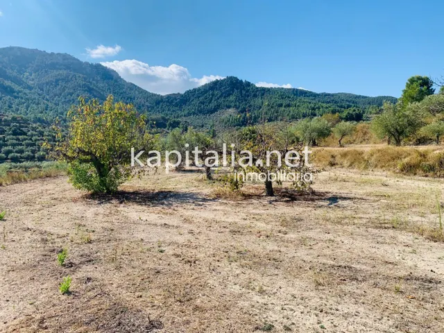 Parcela a la venta en Alfafara. - foto 4