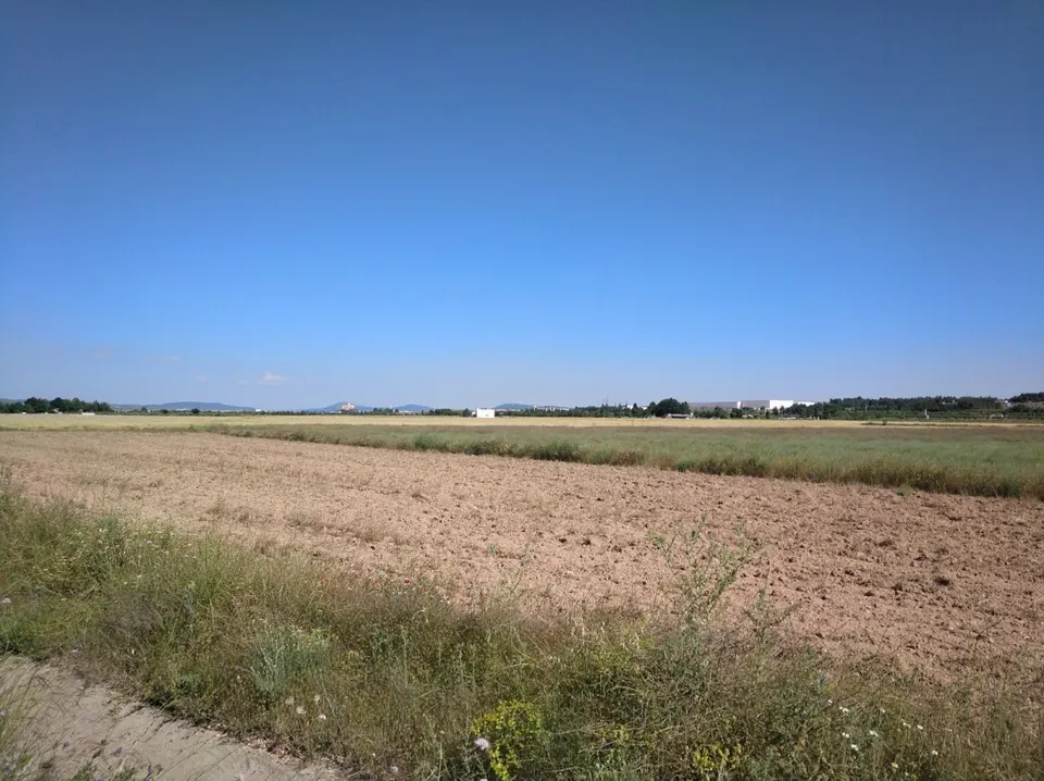 PARCELA DE 22.400 M2 EN PARAJE "EL RUBIAL"