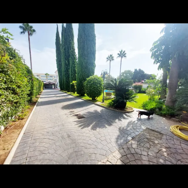 Chalet 8 habitaciones 625m² en venta - Centro — 40