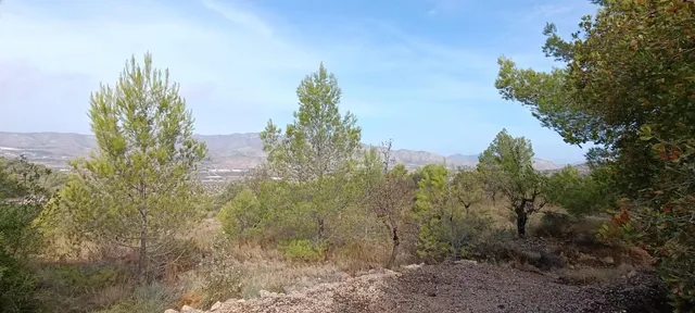 Encantadora Casa de Campo en Hondon de las Nieves - Oportunidad Única — 3