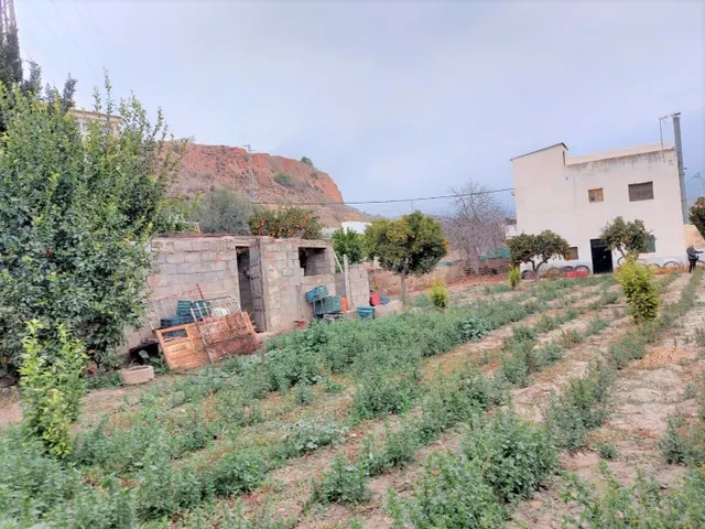 CORTIJO EN VENTA EN UGIJAR - foto 3