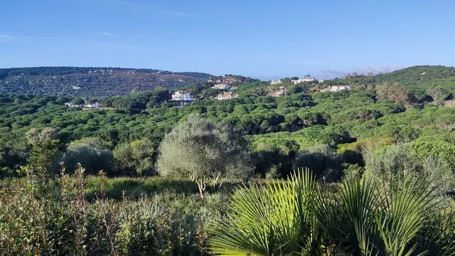 Parcela 1000m² en venta - Sotogrande - Alto - foto 2