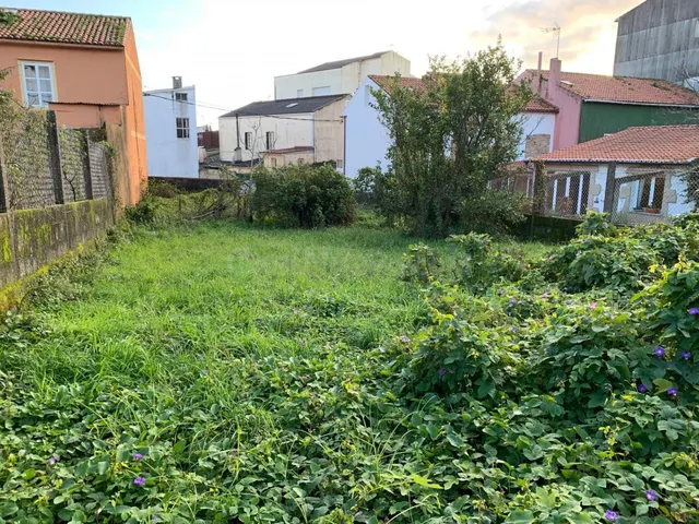 TERRENO URBANIZABLE EN CABO DE CRUZ - foto 4