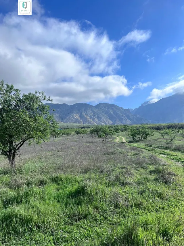TERRENO RUSTICO EN PADUL — 7