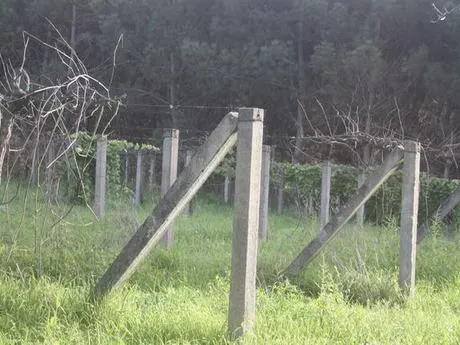 TERRENO EDIFICABLE EN VEDRA — 3