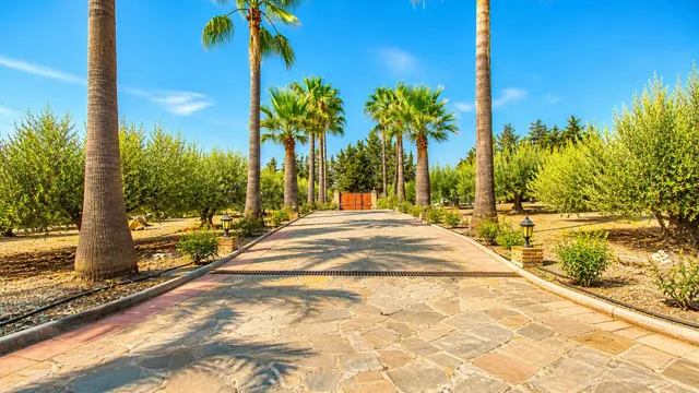 Finca rústica 3 habitaciones 562m² en venta - Costa Del Sol — 5