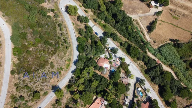 En venta 3 parcelas al principio de la Urbanización Montesso - foto 3