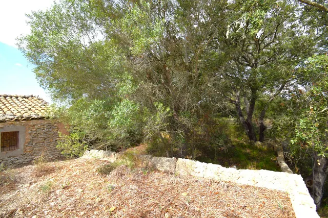 Finca rústica con posibilidad de vivienda en Llubi — 12