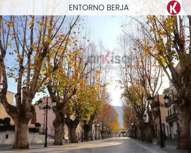 DOS VIVIENDAS INDEPENDIENTES CON PISCINA Y HUERTO EN BERJA — 43
