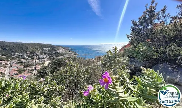 Terreno excepcional con vista panorámica a la bahía de Canye - foto 4