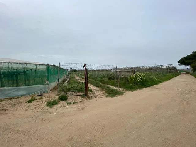 TERRENOS RÚSTICOS EN VENTA – LAS TRES PIEDRAS, CHIPIONA - foto 4
