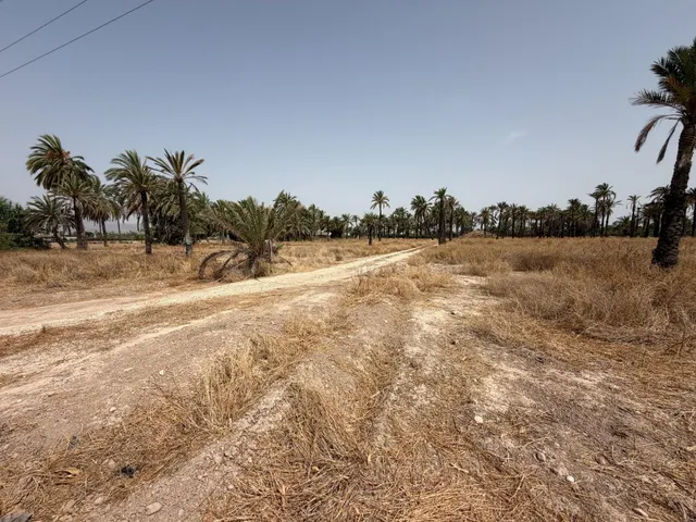 PARCELA DE 10.200M MUY PRÓXIMO A ELCHE PARA PODER CONSTRUIR  - foto 3