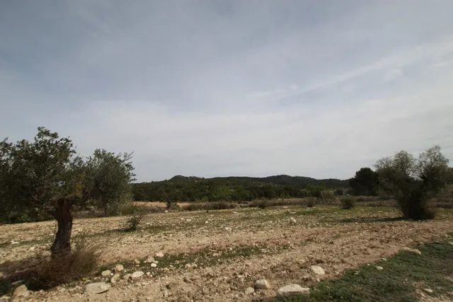 Casa de campo 1 habitación 115m² en venta - Comunidad valenciana — 16